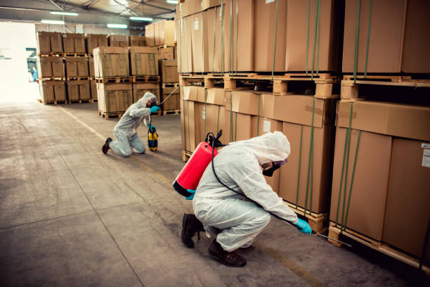 Best Affordable Pest Control Services  in Mccoll, SC
