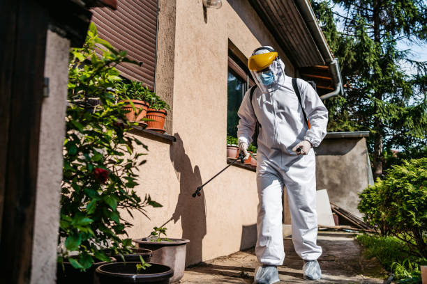 Best Residential Pest Control  in Mccoll, SC
