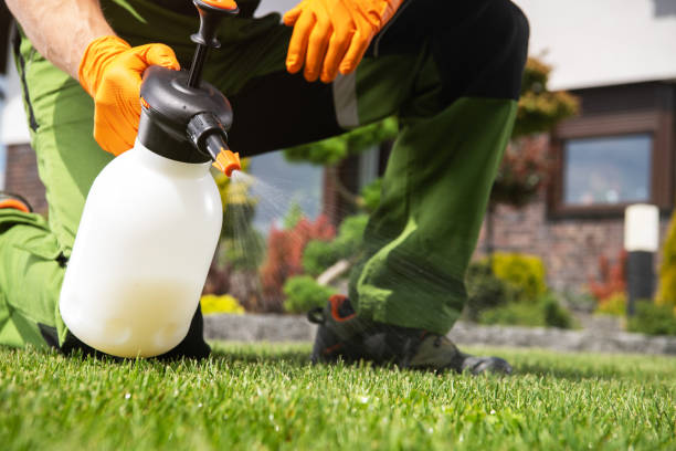 Best Emergency Pest Control  in Mccoll, SC