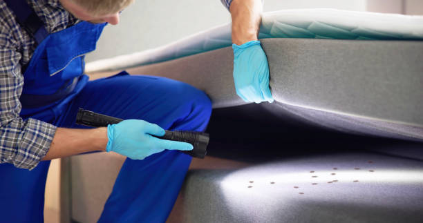 Best Ant Control Services  in Mccoll, SC
