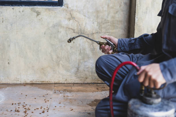 Best Pest Control Near Me  in Mccoll, SC